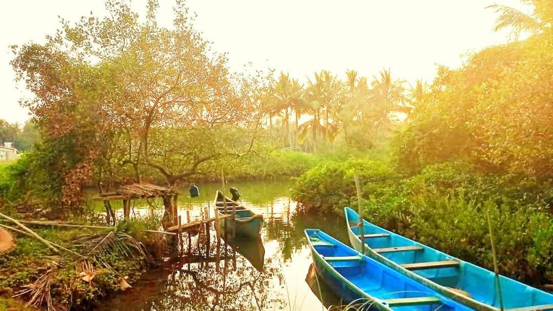 Shruthi'S Aarohi-Nature'S Retreat Mulappilangad Ngoại thất bức ảnh