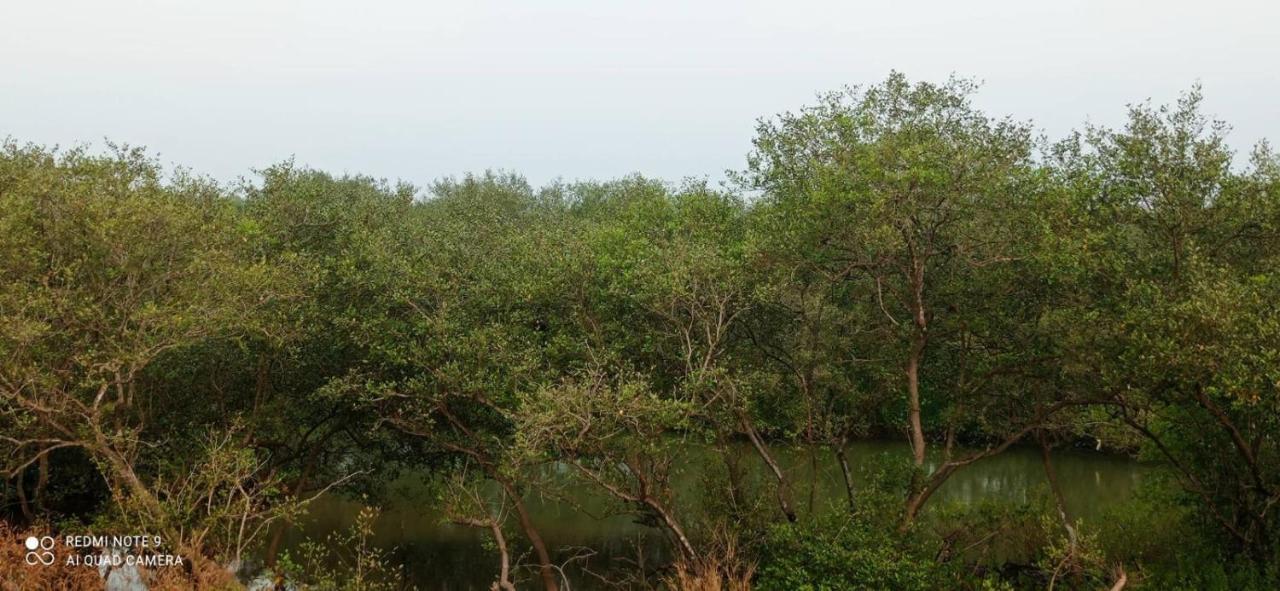 Shruthi'S Aarohi-Nature'S Retreat Mulappilangad Ngoại thất bức ảnh