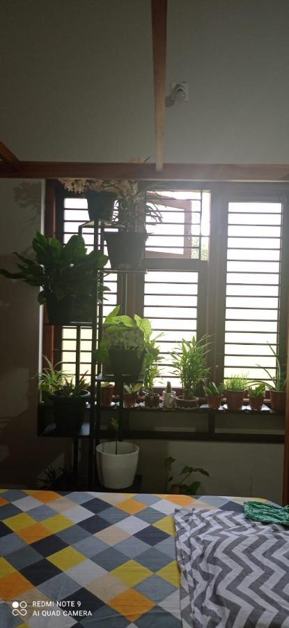 Shruthi'S Aarohi-Nature'S Retreat Mulappilangad Ngoại thất bức ảnh