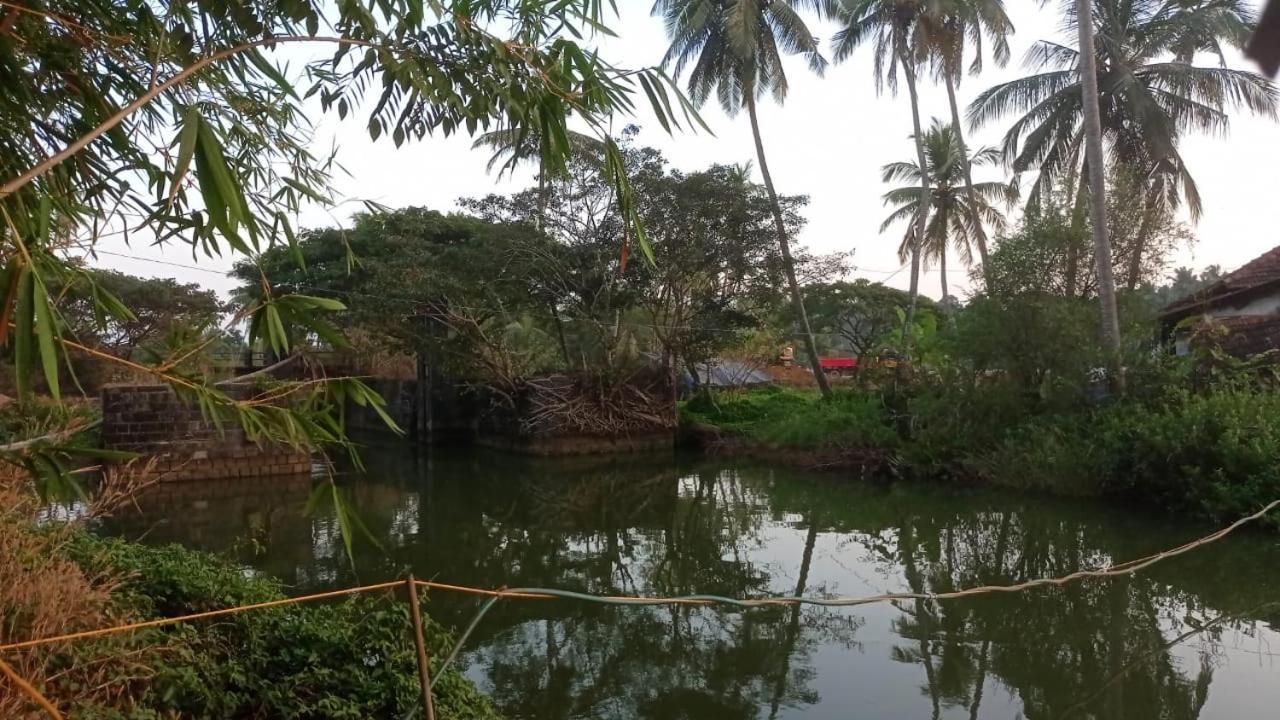 Shruthi'S Aarohi-Nature'S Retreat Mulappilangad Ngoại thất bức ảnh