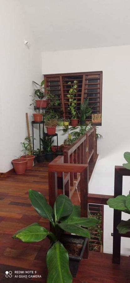 Shruthi'S Aarohi-Nature'S Retreat Mulappilangad Ngoại thất bức ảnh